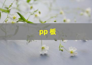 pp 板